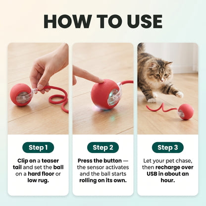 Interactive Ball Toys Automatic Rolling - CAT&DOG